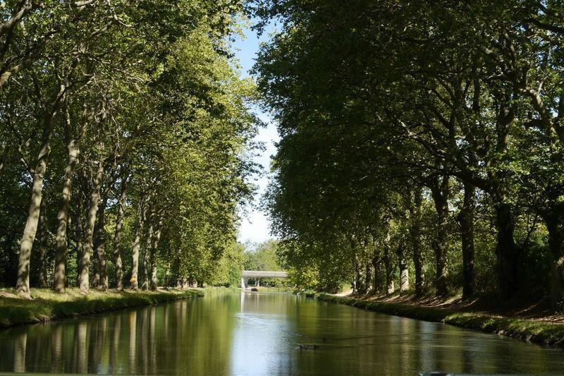 Canal du Midi, uno de los lugares que visitar en Carcasona