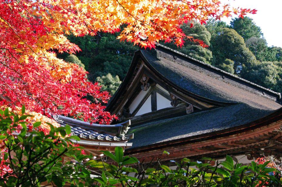 <strong>Saimyoji Temple (Shiga): </strong>Located in the Suzuka mountain range, Saimyoji Temple is one of a trio of ancient Tendai Buddism temples in eastern Shiga, also known as 