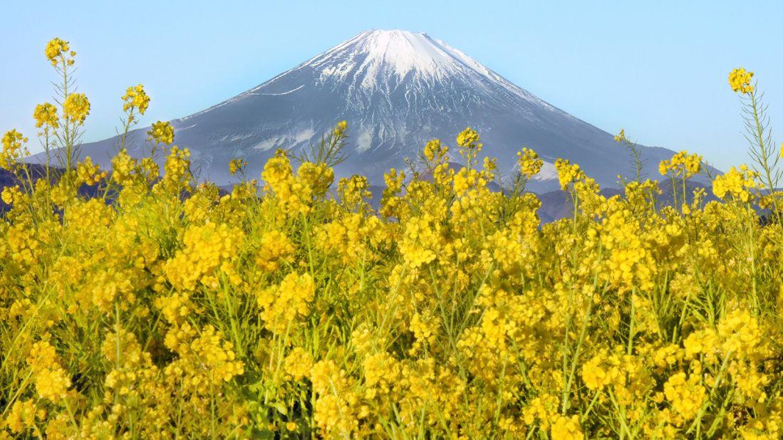 <strong>Mount Fuji: </strong>One of Japan's three sacred mountains and one of its most recognizable natural attractions, Mount Fuji is a popular hiking destination for pilgrims and travelers. Its seemingly symmetrical shape is an icon that has appeared on many postcards and artworks in Japan.